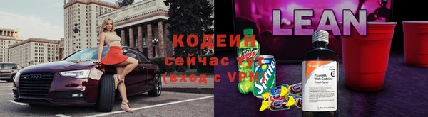 шишки Инсар