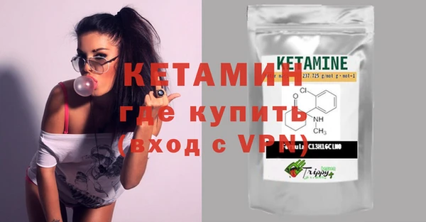 шишки Инсар