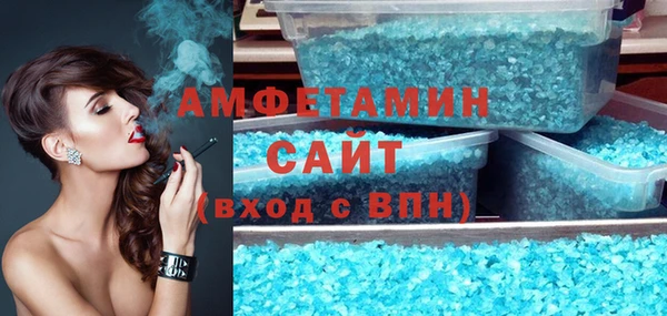 шишки Инсар