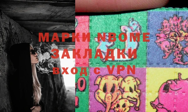 шишки Инсар